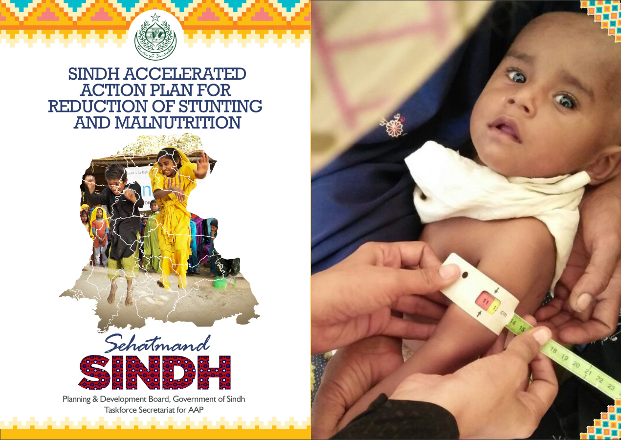 Sehatmand Sindh – Sindh Accelerated Action Plan for Reducing Malnutrition and Stunting